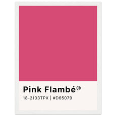 Pantone Pink Flambé - Aurora Designs