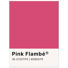 Pantone Pink Flambé - Aurora Designs