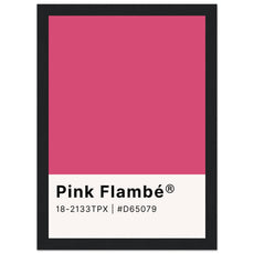 Pantone Pink Flambé - Aurora Designs