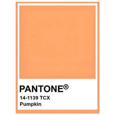 Pantone Pumpkin - Aurora Designs