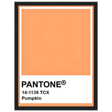 Pantone Pumpkin - Aurora Designs