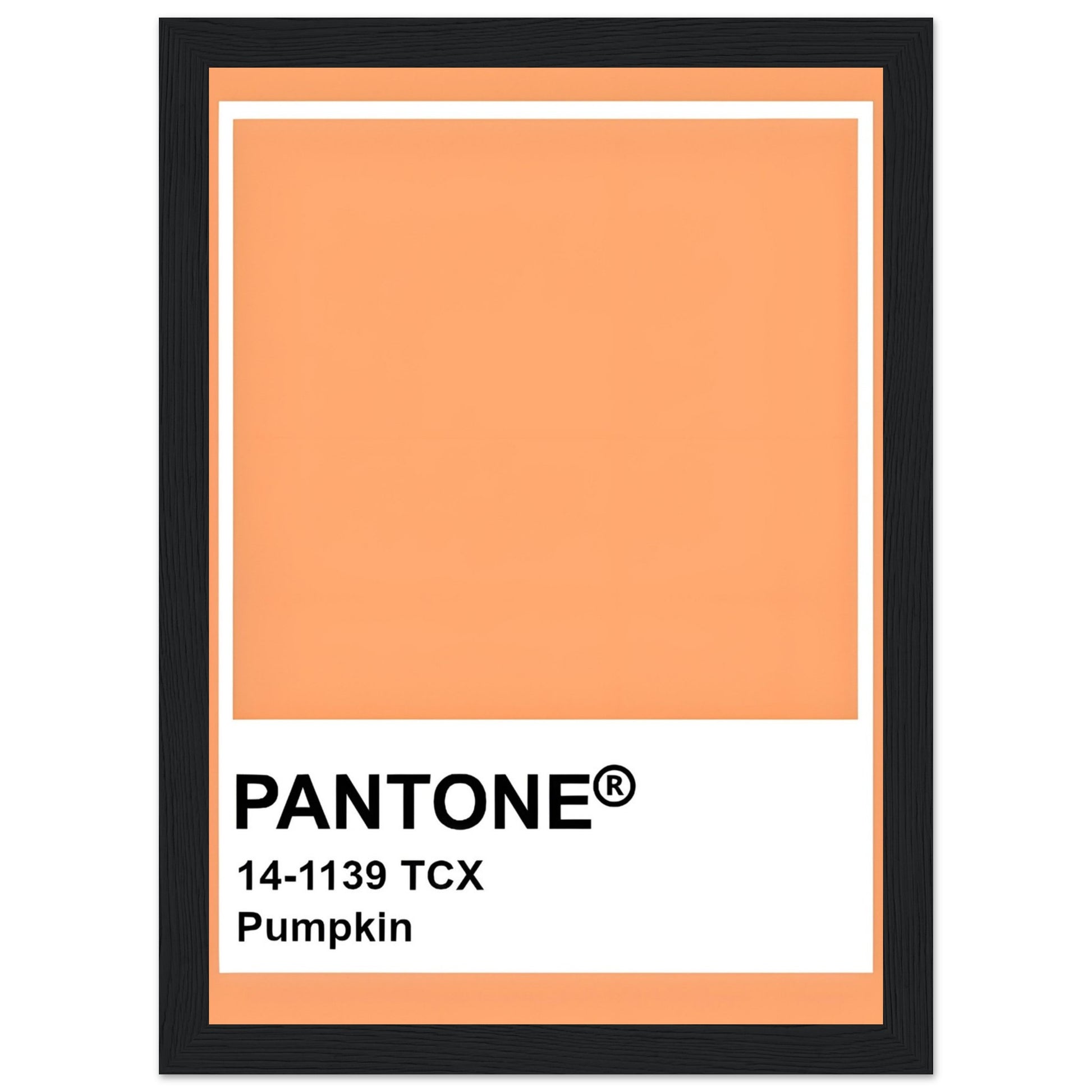 Pantone Pumpkin - Aurora Designs