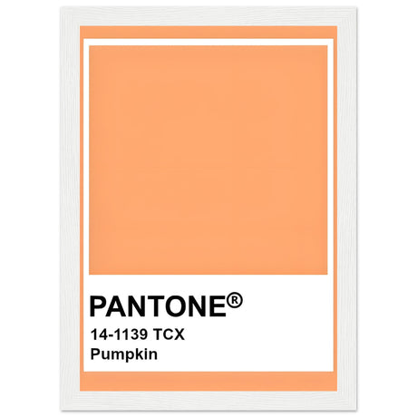 Pantone Pumpkin - Aurora Designs