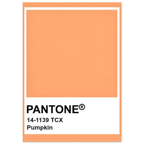 Pantone Pumpkin - Aurora Designs