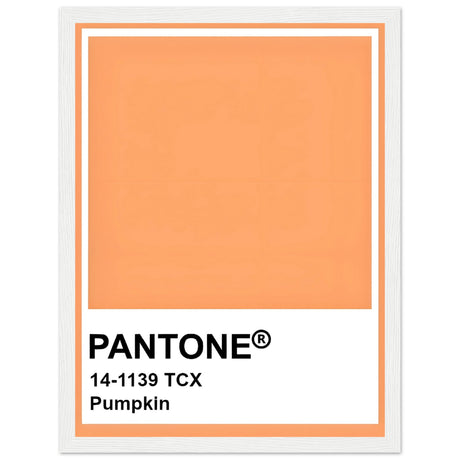 Pantone Pumpkin - Aurora Designs