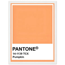 Pantone Pumpkin - Aurora Designs