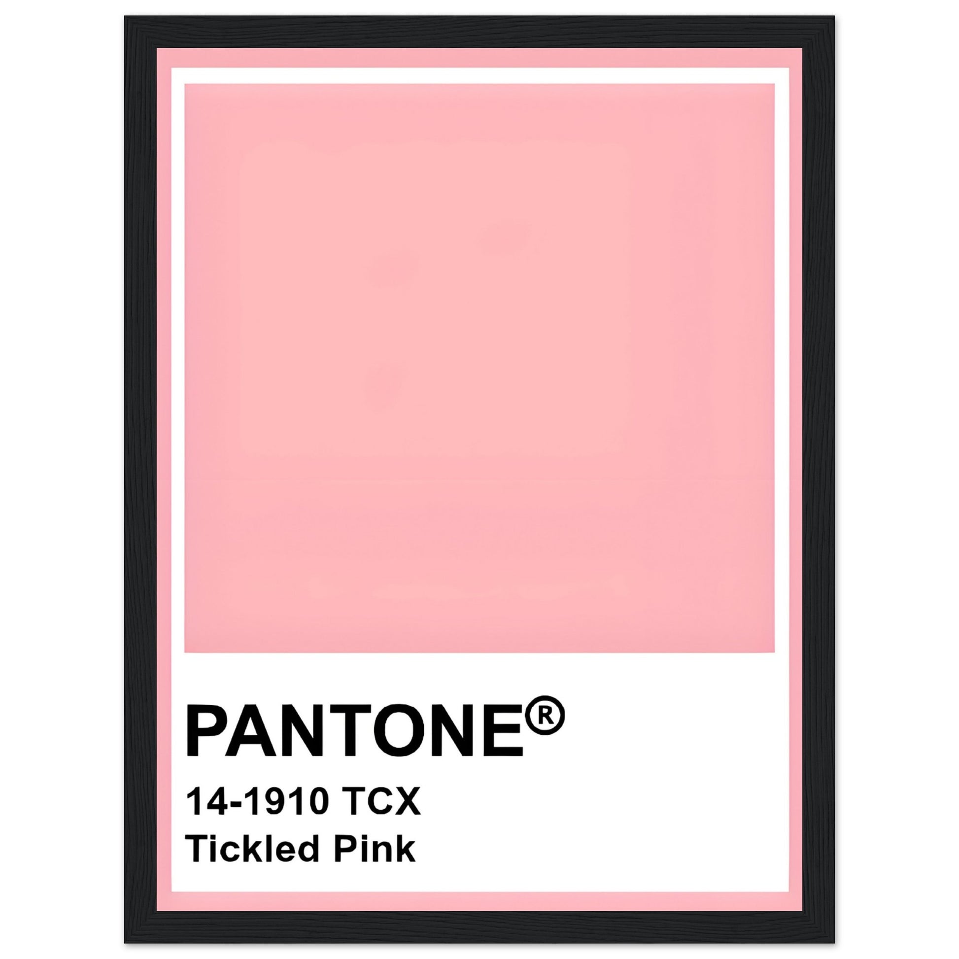 Pantone Tickled Pink - Aurora Designs