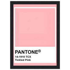 Pantone Tickled Pink - Aurora Designs