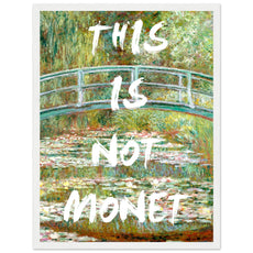 This is not Monet - Aurora Designs